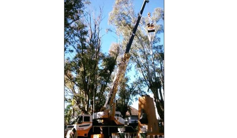 GRUA TADANO AR 300 lleno